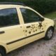 Fiat Panda 1.1 EZ 2009 TÜV bis 11/22 Zylinderkopfdichtung Schaden